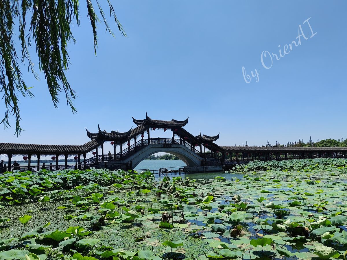 个人摄影6